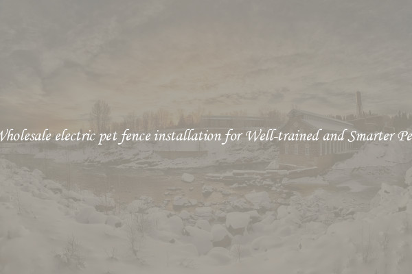 Wholesale electric pet fence installation for Well-trained and Smarter Pets