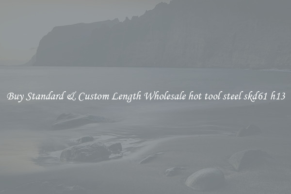 Buy Standard & Custom Length Wholesale hot tool steel skd61 h13