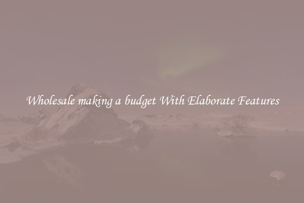 Wholesale making a budget With Elaborate Features