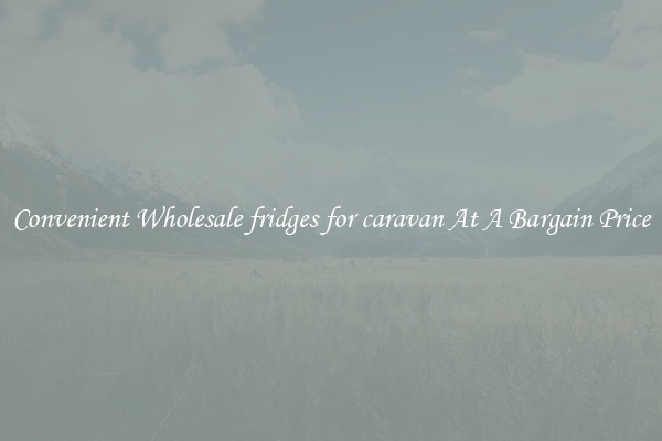 Convenient Wholesale fridges for caravan At A Bargain Price