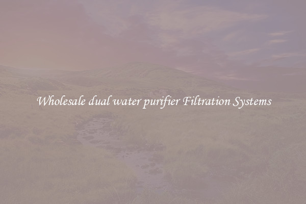 Wholesale dual water purifier Filtration Systems