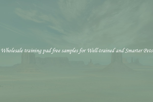 Wholesale training pad free samples for Well-trained and Smarter Pets