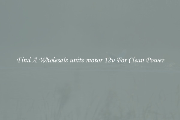 Find A Wholesale unite motor 12v For Clean Power