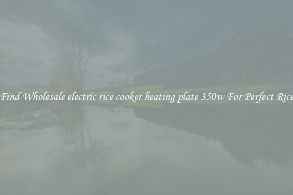 Find Wholesale electric rice cooker heating plate 350w For Perfect Rice