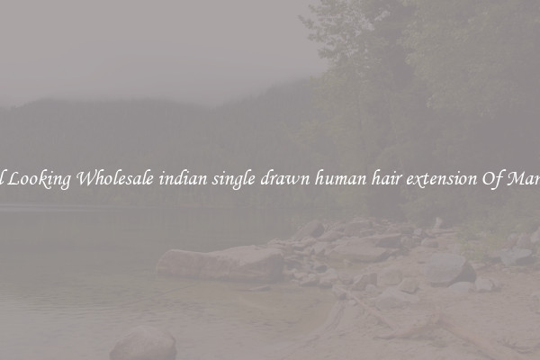 Natural Looking Wholesale indian single drawn human hair extension Of Many Types