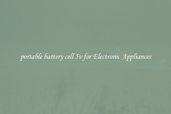 portable battery cell 5v for Electronic Appliances