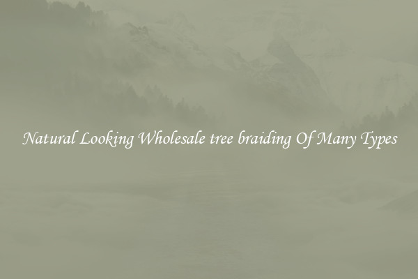 Natural Looking Wholesale tree braiding Of Many Types