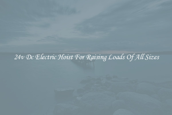 24v Dc Electric Hoist For Raising Loads Of All Sizes