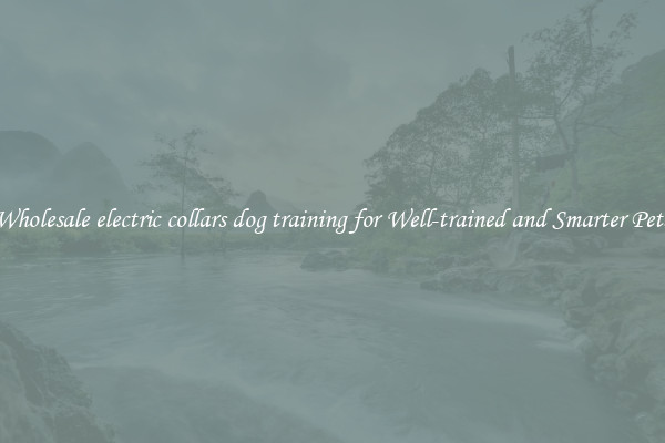 Wholesale electric collars dog training for Well-trained and Smarter Pets