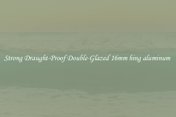 Strong Draught-Proof Double-Glazed 16mm hing aluminum 